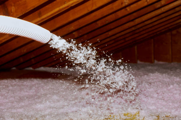Best Insulation Contractors for Homes  in Lake Sconsin, WI