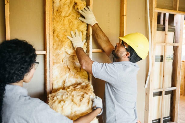 Best Attic Insulation Installation  in Lake Sconsin, WI