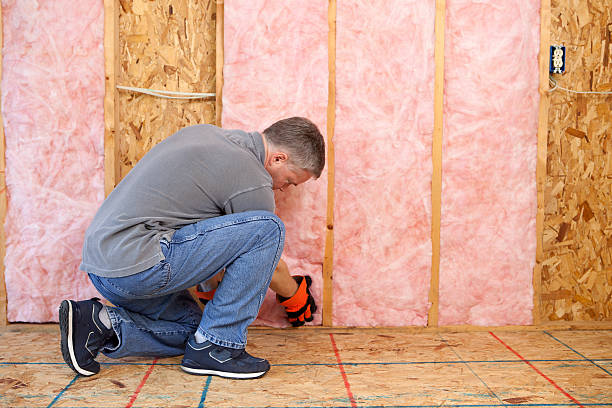 Best Local Insulation Services  in Lake Sconsin, WI