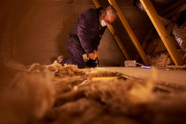 Best Home Insulation Services  in Lake Sconsin, WI